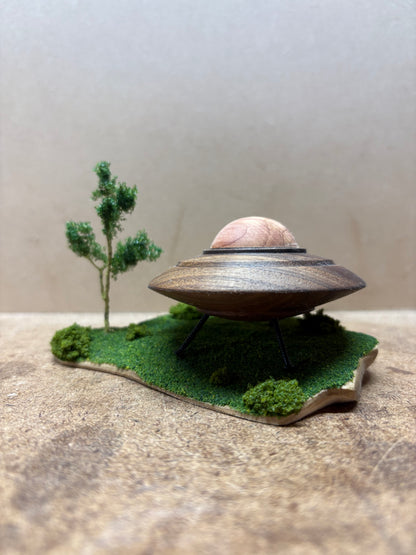 Landed UFO Sighting