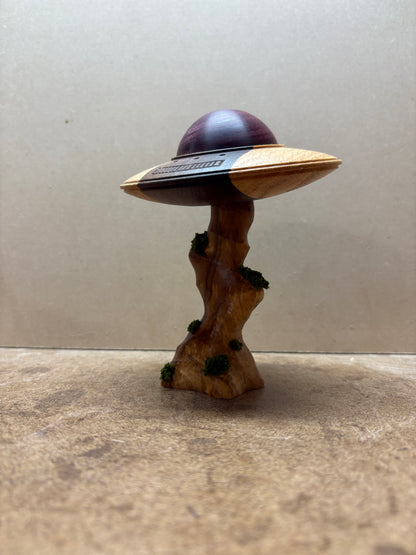 Purple Heart UFO