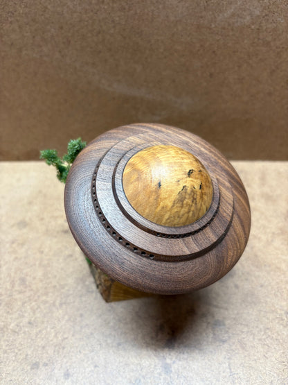 Walnut UFO
