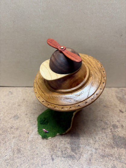 Visible Means of Propulsion
