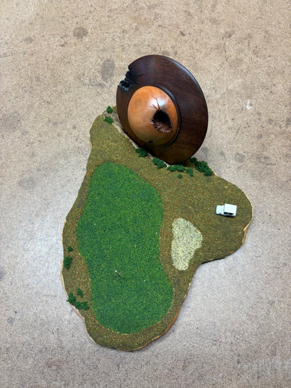 UFO in the Rough