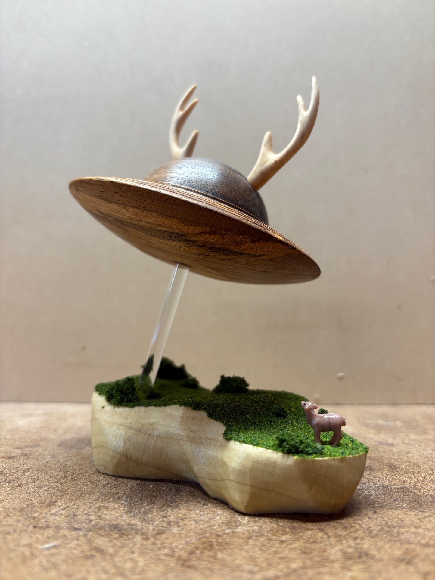 White-Tailed UFO