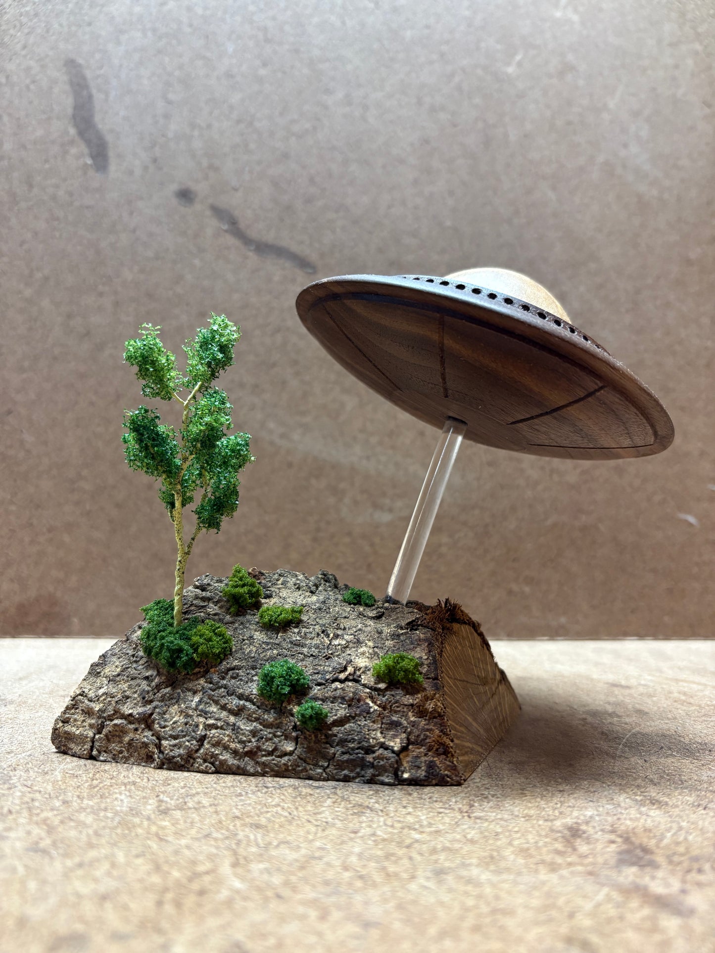 Walnut UFO