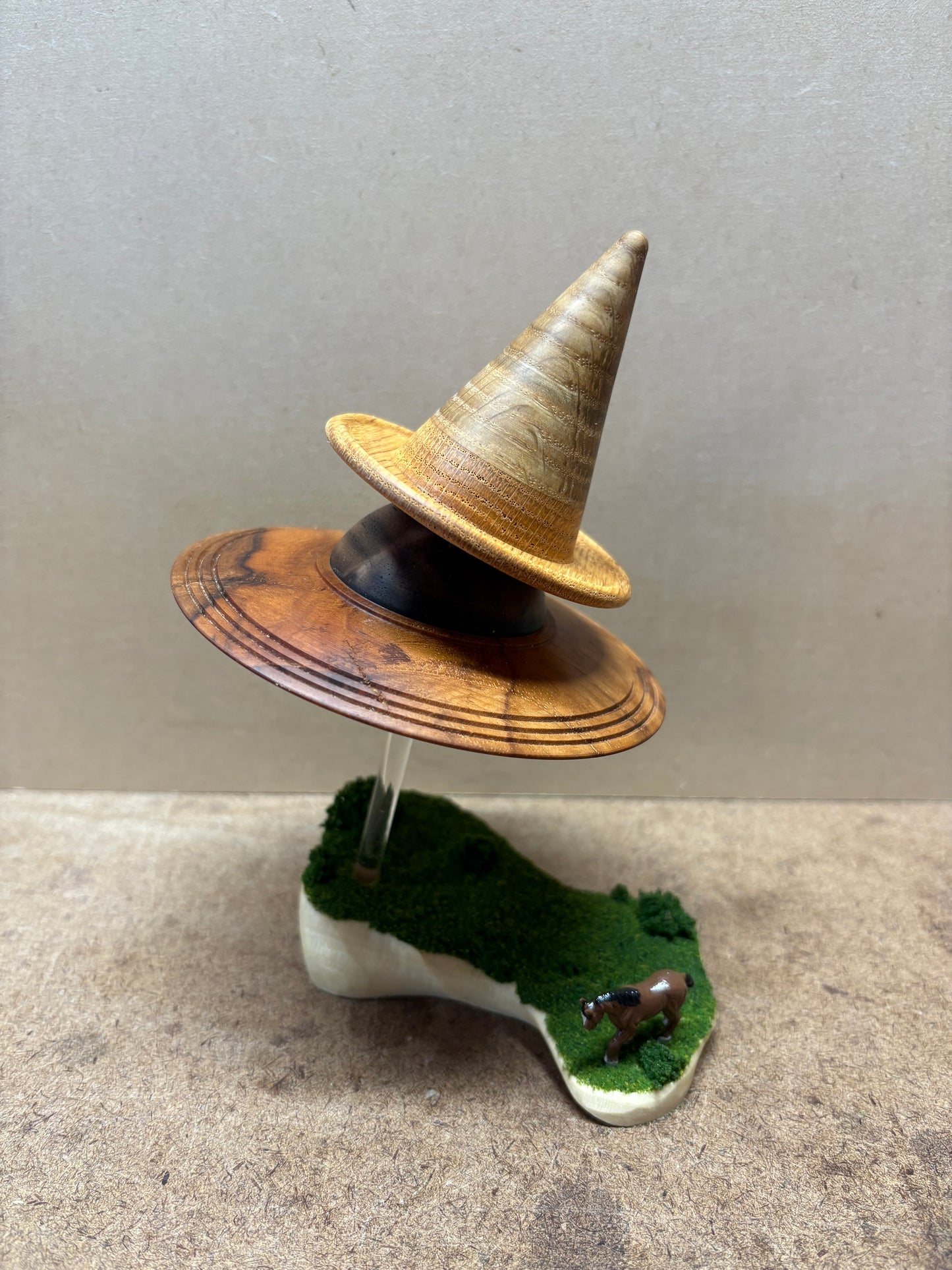The Wizard