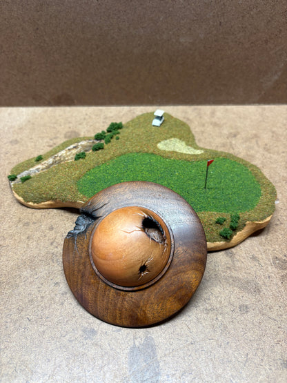 UFO in the Rough