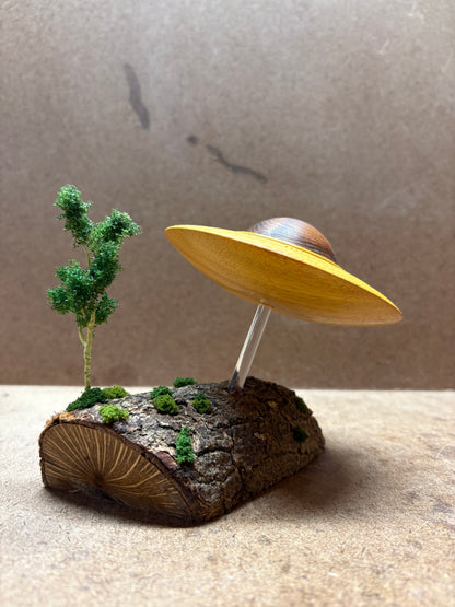 Orange Osage UFO