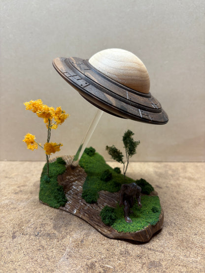 UFO vs Bigfoot