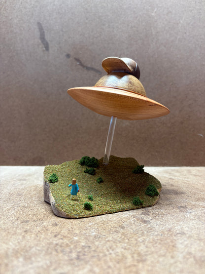 Chill Guy UFO
