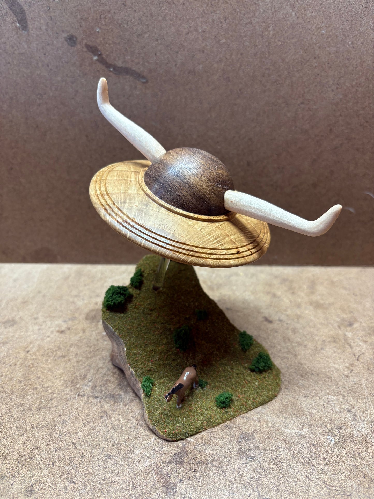 The Longhorn UFO