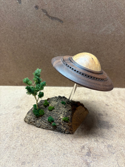 Walnut UFO