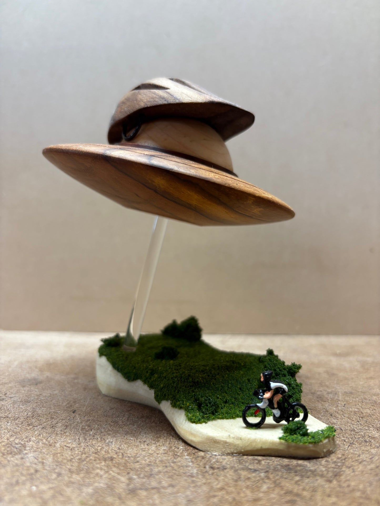 The Cyclist