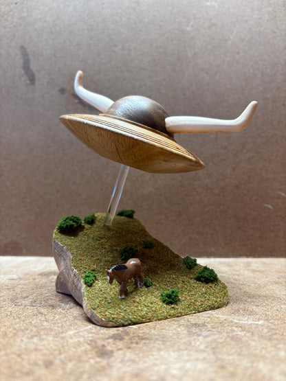 The Longhorn UFO
