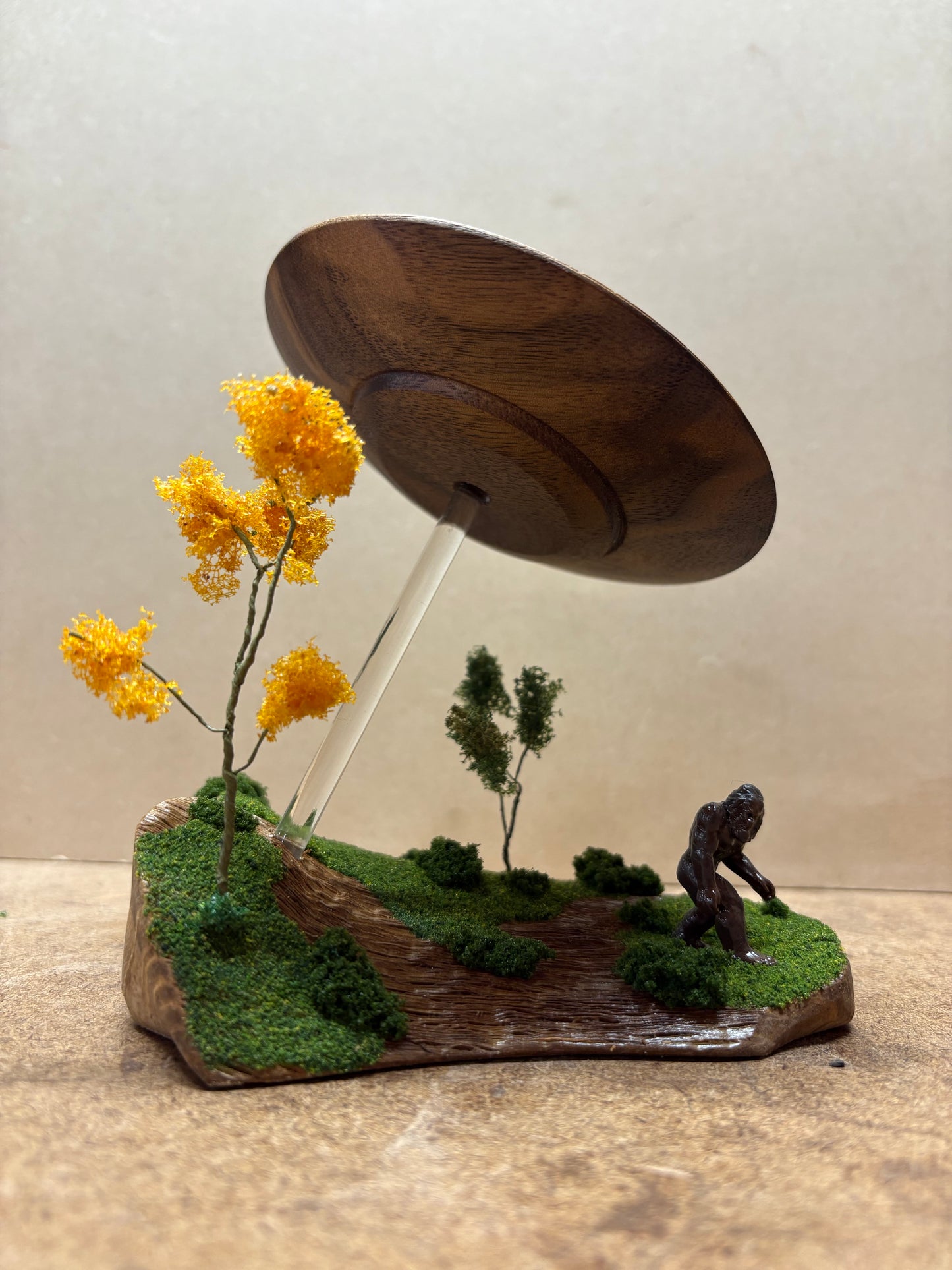 UFO vs Bigfoot
