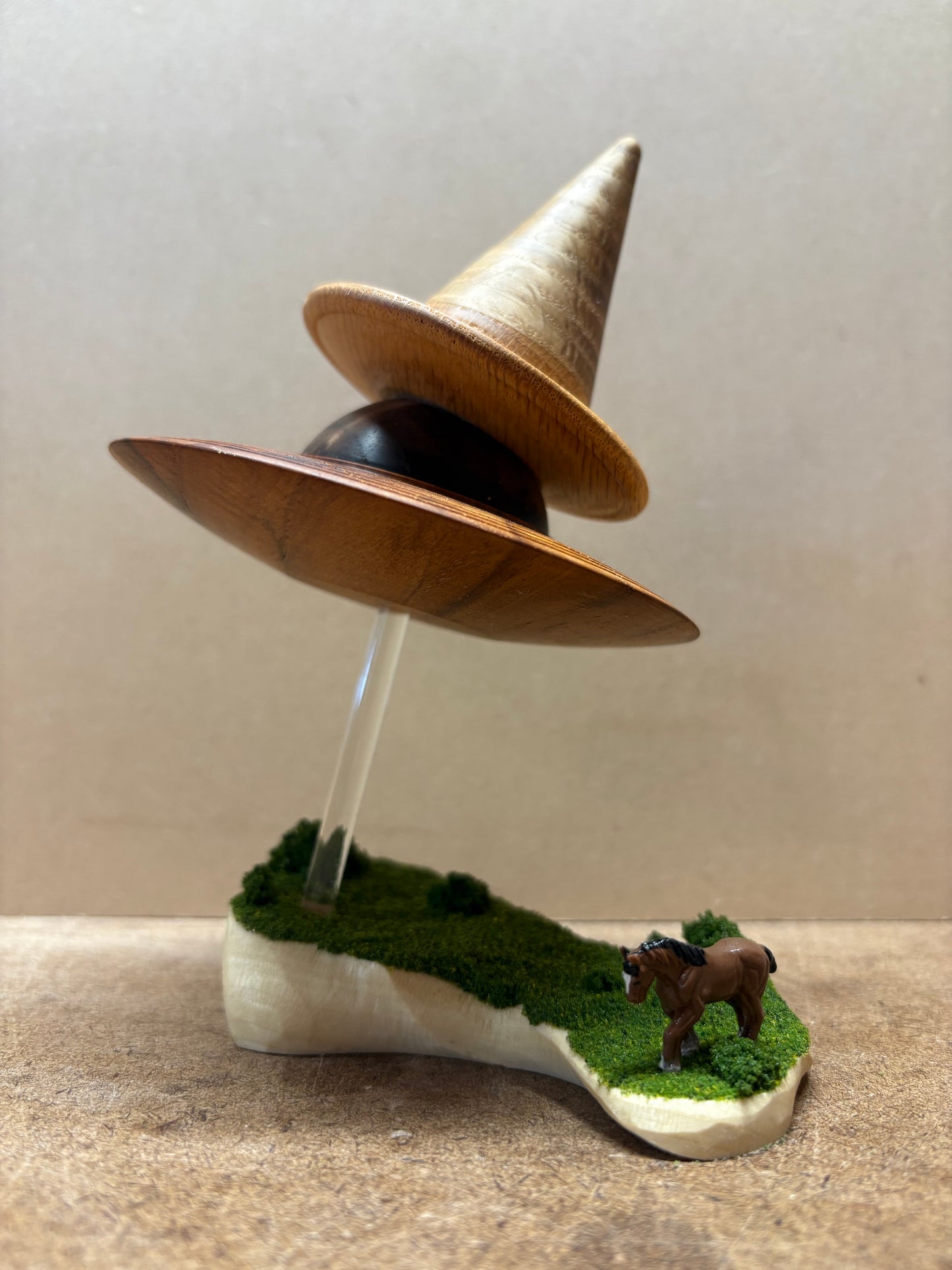 The Wizard