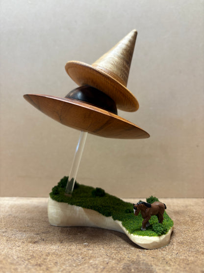 The Wizard