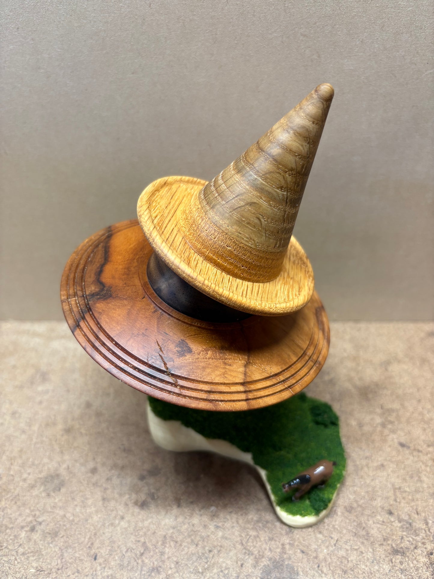 The Wizard
