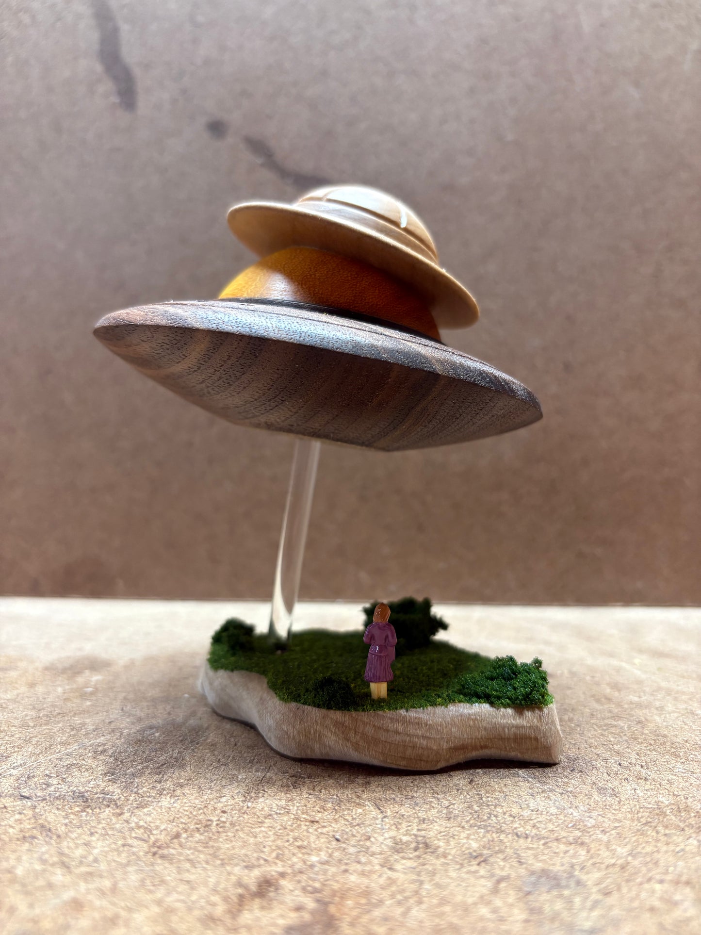 Safari UFO