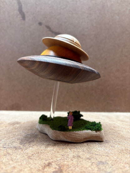 Safari UFO