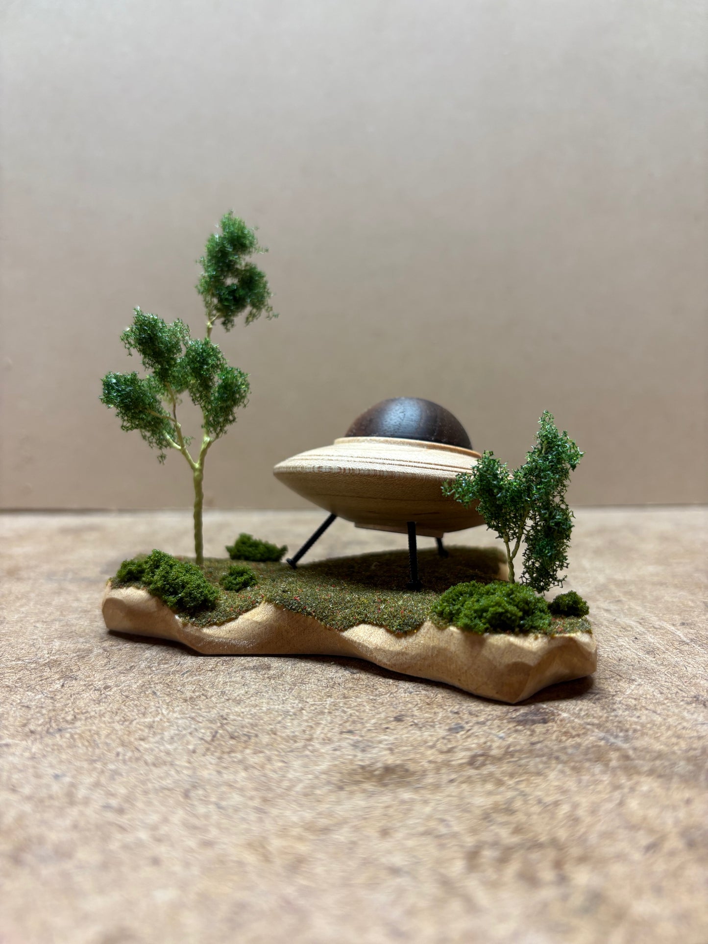 UFO Sighting from the Woods
