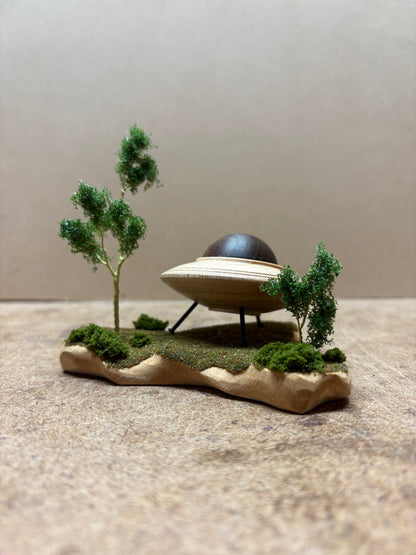 UFO Sighting from the Woods