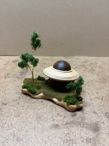 UFO Sighting from the Woods