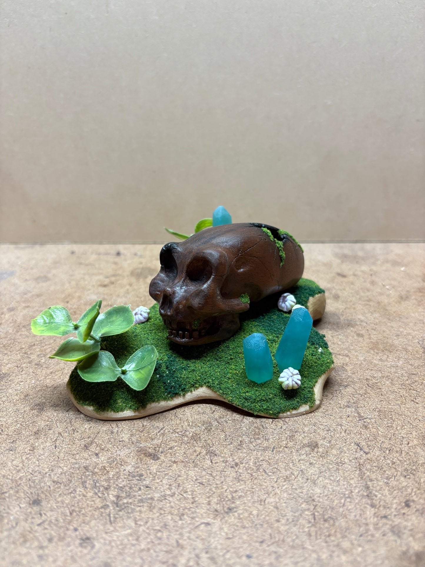Ancient Alien Skull
