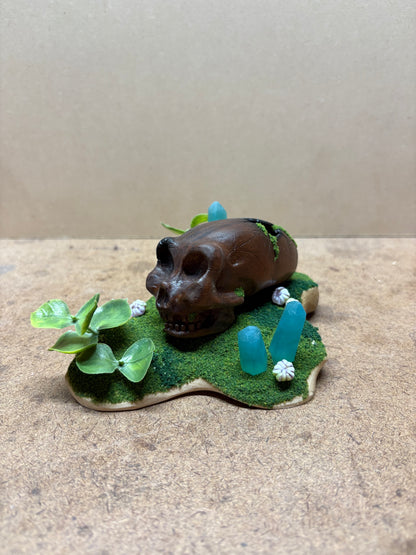 Ancient Alien Skull