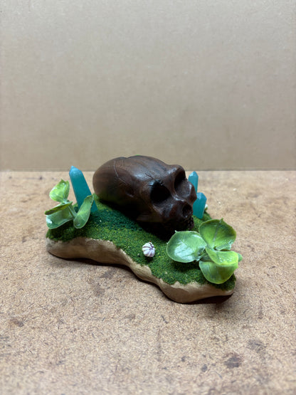 Ancient Alien Skull