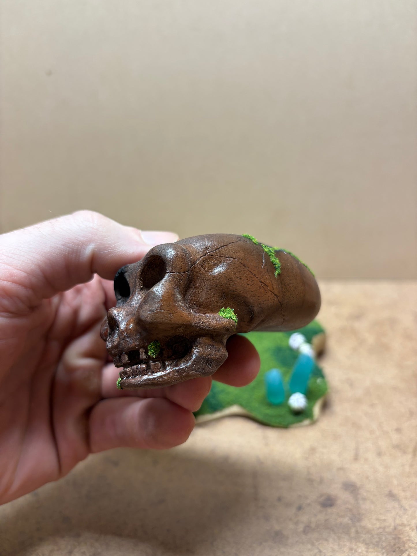 Ancient Alien Skull